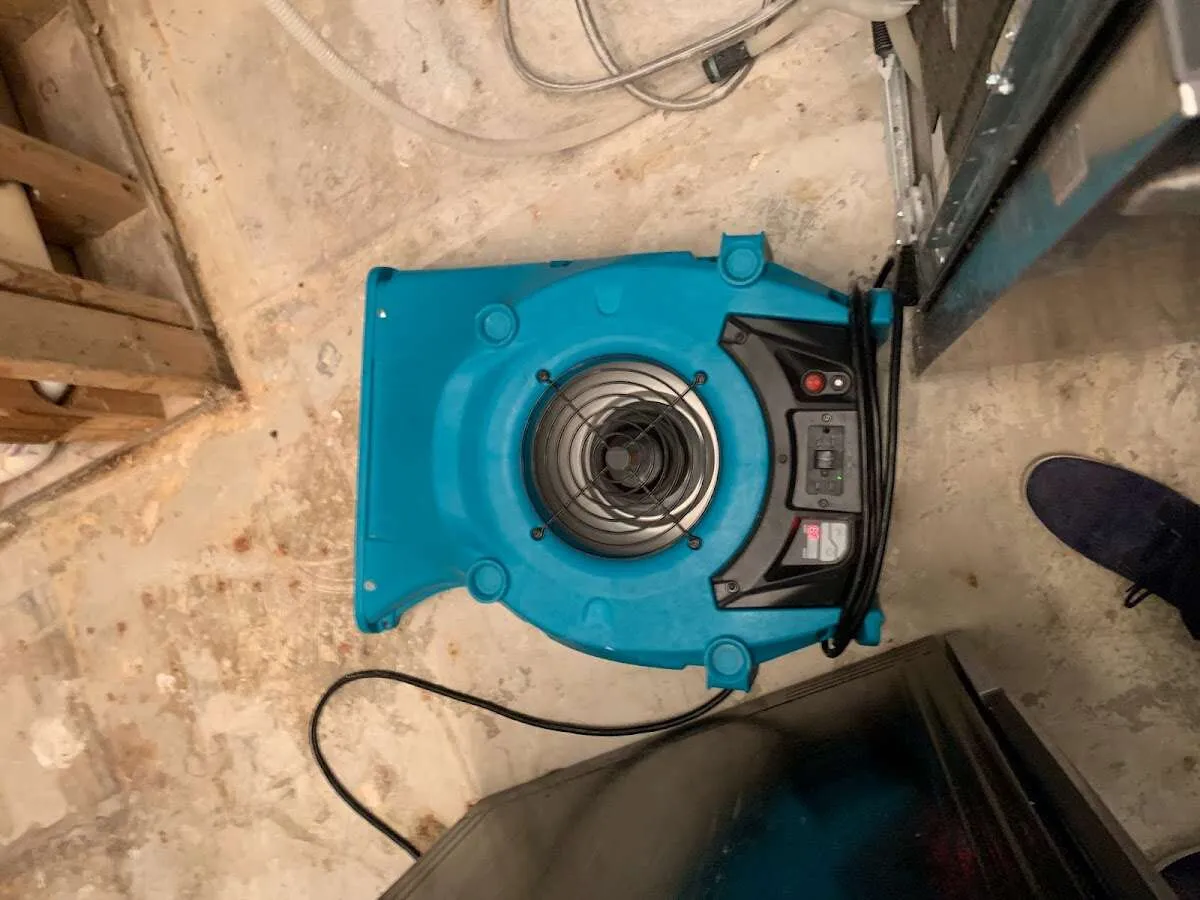 Air mover drying equipment for Mold Remediation & Removal in Batavia